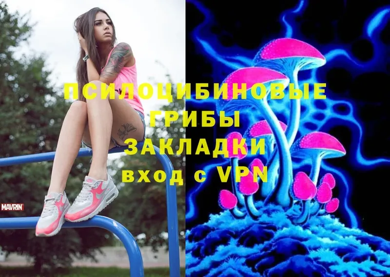 Галлюциногенные грибы Magic Shrooms  Калуга 